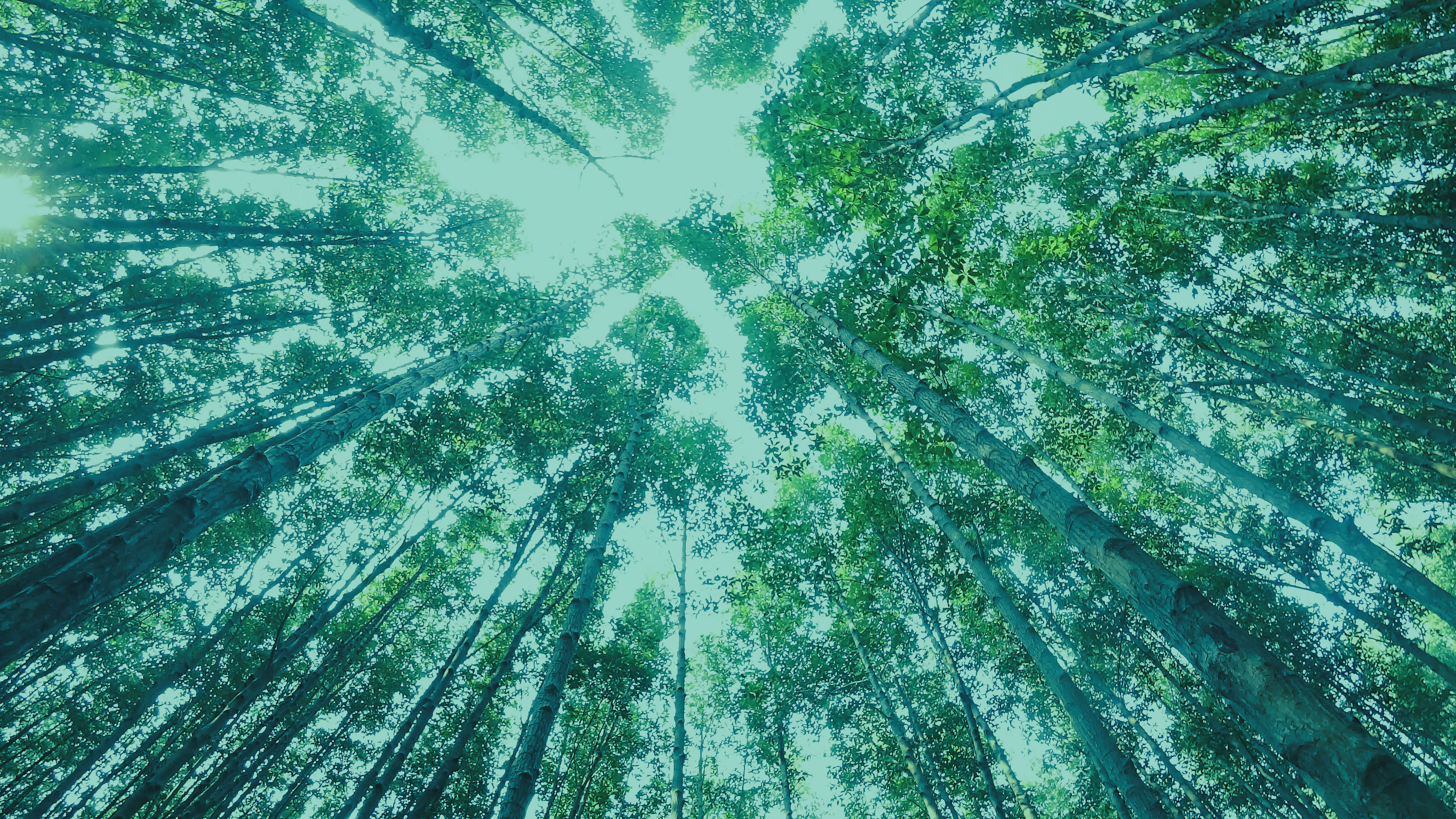 svimmelhet-krystallsyken-meta